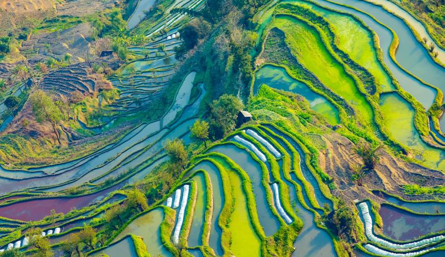 走进龙州县TVC拍摄：解锁本地化场景与创意镜头的完美融合